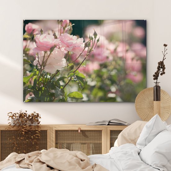 MuchoWow® Peinture sur Verre - Roses - Fleurs - Rose - 90x60 cm - Peintures sur Verre Peintures - Photo sur Glas