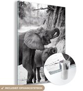 MuchoWow® Glasschilderij 60x80 cm - Schilderij acrylglas - Drinkende baby olifant met zijn moeder in zwart-wit - Foto op glas - Schilderijen