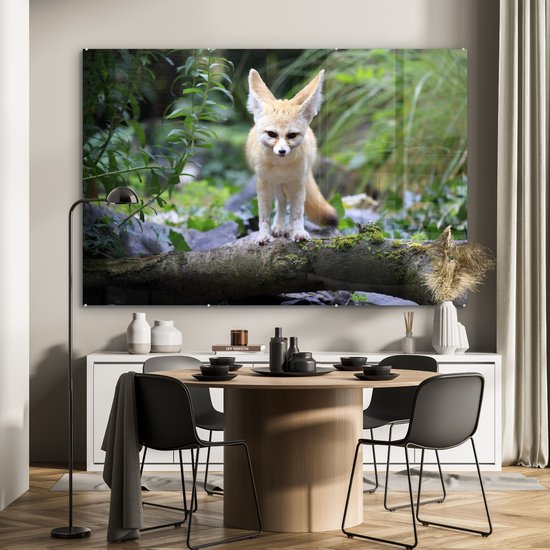 MuchoWow® Peinture sur verre 150x100 cm - Peinture sur verre acrylique - Renard - Branche - Nature - Photo sur verre - Peintures