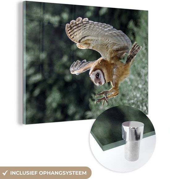 MuchoWow® Peinture sur Verre - Hibou Attaquant - 160x120 cm - Peintures sur Verre Acrylique - Photo sur Glas