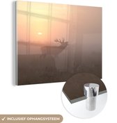 MuchoWow® Peinture sur Verre - Cerf - Soleil - Brouillard - 80x60 cm - Peintures sur Verre Acrylique - Photo sur Glas