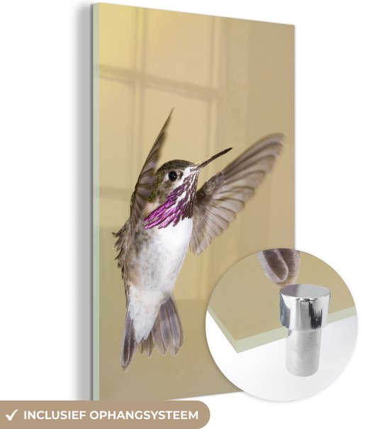 MuchoWow® Peinture sur verre 80x120 cm - Peinture sur verre acrylique - Colibri - Vogel - Violet - Photo sur verre - Peintures