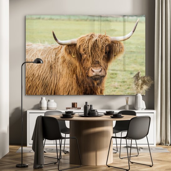 MuchoWow® Glasschilderij 180x120 cm - Schilderij acrylglas - Schotse hooglander - Hoorn - Gras - Foto op glas - Schilderijen