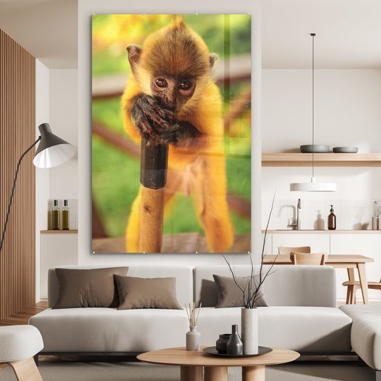 MuchoWow® Peinture sur verre 120x180 cm - Peinture sur verre acrylique - Portrait coloré d'un bébé singe - Garçons - Filles - Enfants - Enfant - Photo sur verre - Peintures