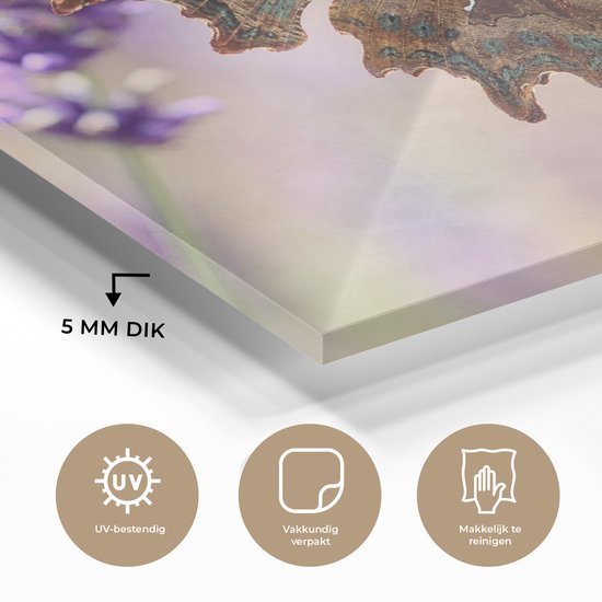 MuchoWow® Peinture sur verre 160x120 cm - Peinture sur verre acrylique - Le papillon aurelia craquelé boit du nectar - Photo sur verre - Peintures