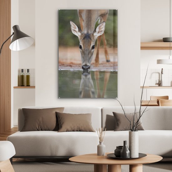 MuchoWow® Peinture sur verre 80x120 cm - Peinture sur verre acrylique - Cerf - Boisson - Water - Réflexion - Photo sur verre - Peintures