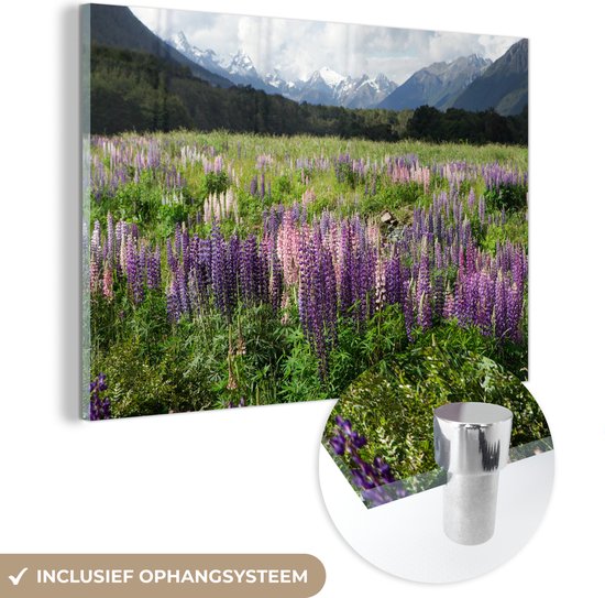 MuchoWow® Glasschilderij 150x100 cm - Schilderij acrylglas - Lupine in het Nationaal park Fiordland - Foto op glas - Schilderijen