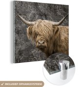 MuchoWow® Glasschilderij 20x20 cm - Schilderij acrylglas - Schotse hooglander - Wereldkaart - Dieren - Foto op glas - Schilderijen