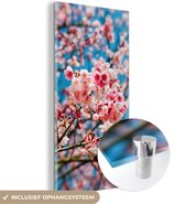 MuchoWow® Glasschilderij 80x160 cm - Schilderij acrylglas - Lente - Sakura - Roze - Foto op glas - Schilderijen
