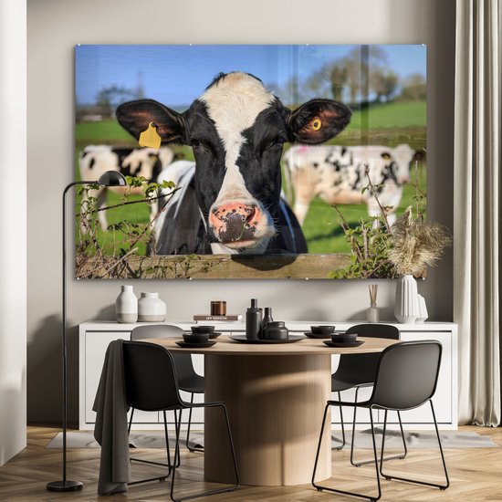 Une vache frisonne regardant par-dessus la clôture Plexiglas 180x120 cm - Tirage photo sur Glas (décoration murale plexiglas) XXL / Groot format!