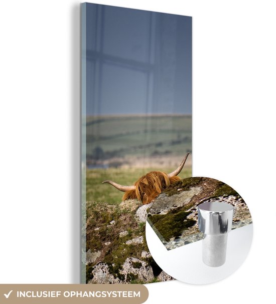 MuchoWow® Glasschilderij 20x40 cm - Schilderij acrylglas - Schotse hooglander- Stenen - Mos - Foto op glas - Schilderijen
