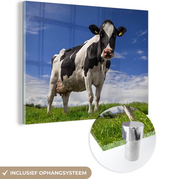 Un ciel bleu au dessus d'une vache frisonne Plexiglas 160x120 cm - Tirage photo sur Glas (décoration murale plexiglas) XXL / Groot format!