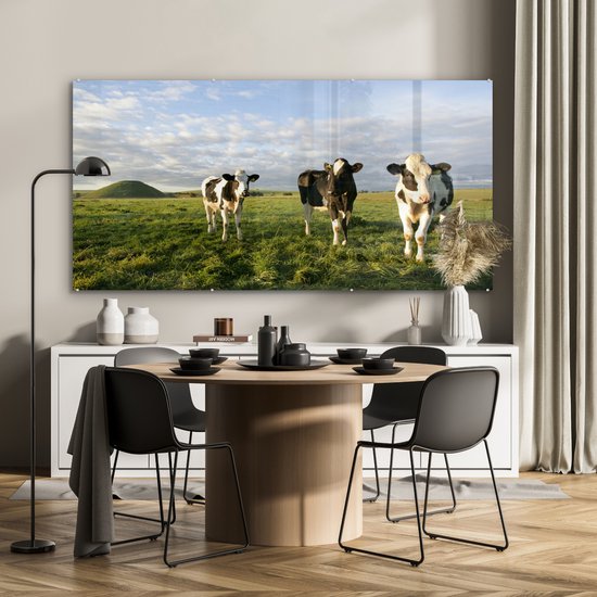Trois vaches frisonnes dans un cadre magnifique Plexiglas 160x80 cm - Tirage photo sur verre (décoration murale plexiglas)