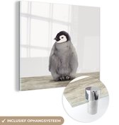 MuchoWow® Glasschilderij 50x50 cm - Schilderij acrylglas - Pinguïn - Dieren - Baby - Foto op glas - Schilderijen