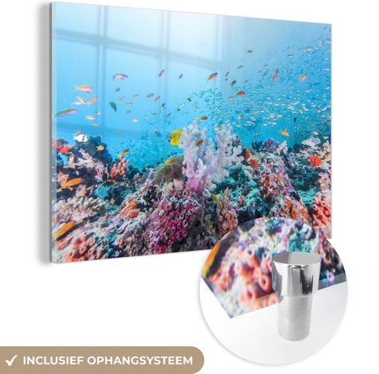 Glasschilderij - Kleurrijk rif en koraal - Acrylglas Schilderijen - Foto op Glas