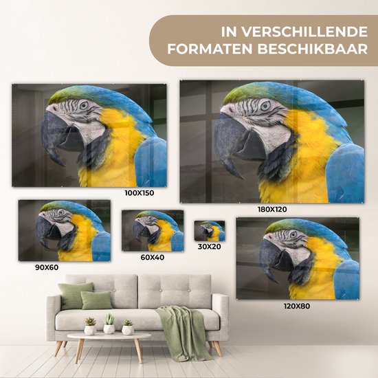 Tirage photo ara bleu et jaune sur Verre 30x20 cm - petit - Tirage photo sur verre (décoration murale en plexiglas)