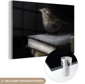 MuchoWow® Glasschilderij 180x120 cm - Schilderij acrylglas - Vogel - Boeken - Portret - Foto op glas - Schilderijen