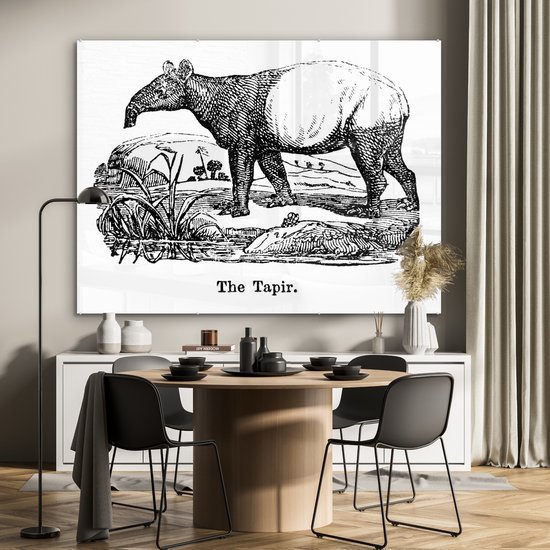 MuchoWow® Peinture sur verre 160x120 cm - Peinture sur verre acrylique - Illustration d'un tapir dans un champ en noir et blanc - Photo sur verre - Peintures