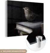 MuchoWow® Glasschilderij 80x60 cm - Schilderij acrylglas - Vogel - Boeken - Portret - Foto op glas - Schilderijen