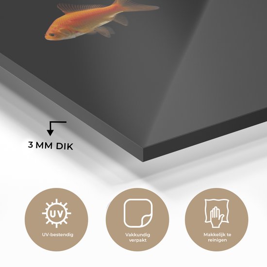 MuchoWow® Peinture sur verre 40x30 cm - Peinture sur verre acrylique - Poisson rouge - Animaux - Zwart - Photo sur verre - Peintures