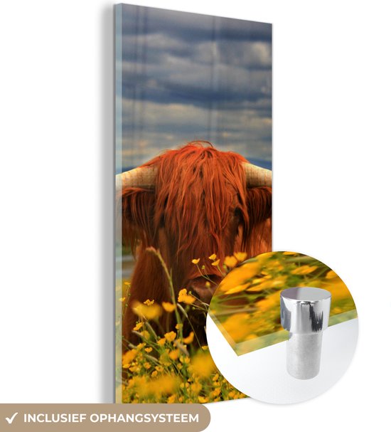 MuchoWow® Glasschilderij 20x40 cm - Schilderij acrylglas - Schotse Hooglander - Dieren - Bloemen - Foto op glas - Schilderijen