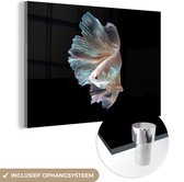 MuchoWow® Glasschilderij 120x80 cm - Schilderij acrylglas - Vis - Staart - Zwart - Foto op glas - Schilderijen