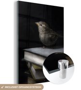 MuchoWow® Glasschilderij 60x80 cm - Schilderij acrylglas - Vogel - Boeken - Portret - Foto op glas - Schilderijen