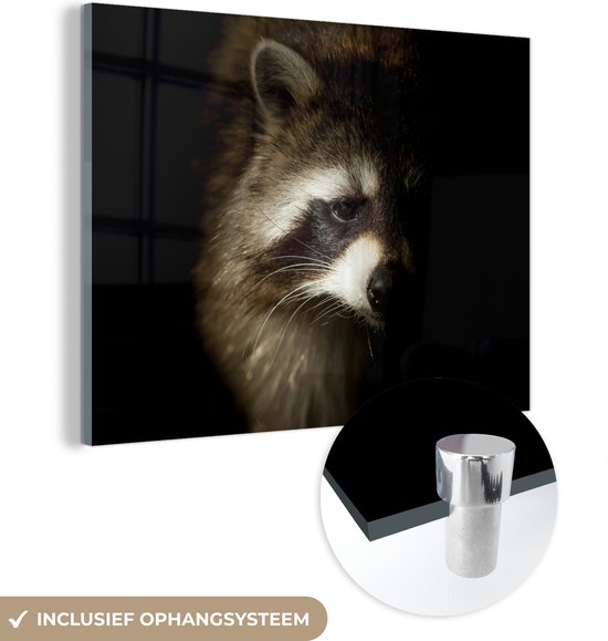 MuchoWow® Glasschilderij - Wasbeer - Wilde dieren - Zwart - Acrylglas Schilderijen - Foto op Glas