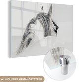 MuchoWow® Glasschilderij 60x40 cm - Schilderij acrylglas - Paard - Wit - Dier - Foto op glas - Schilderijen