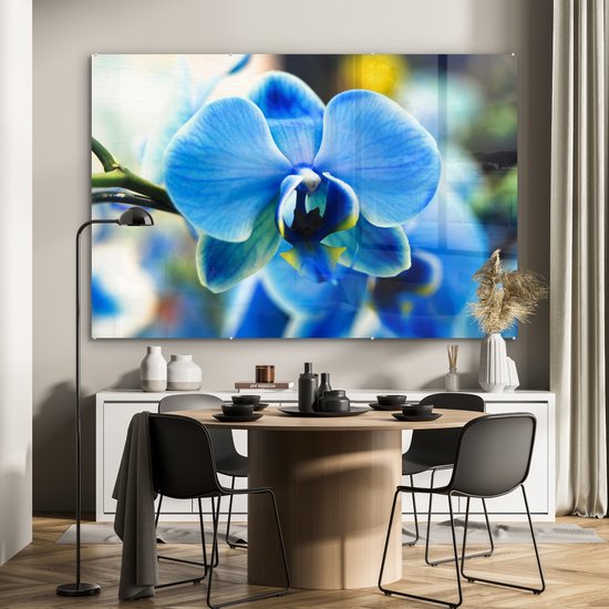 Peinture sur verre - Gros plan d'une orchidée bleue avec un arrière-plan flou - 180x120 cm - Peintures sur Verre Peintures - Photo sur Glas