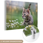 MuchoWow® Glasschilderij 60x40 cm - Schilderij acrylglas - Een kitten in het gras - Foto op glas - Schilderijen