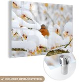 MuchoWow® Glasschilderij 150x100 cm - Schilderij acrylglas - Sneeuw - Roodborstje - Tak - Foto op glas - Schilderijen