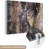 Peinture sur Verre - Chouette - Arbre - Forêt - 180x120 cm - Peintures sur Verre Peintures - Photo sur Glas