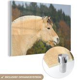 MuchoWow® Glasschilderij 90x60 cm - Schilderij glas - Close-up van een lichtbruin fjord paard - Foto op acrylglas - Schilderijen