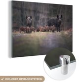 MuchoWow® Glasschilderij 90x60 cm - Schilderij acrylglas - Dier - Everzwijn - Bos - Foto op glas - Schilderijen