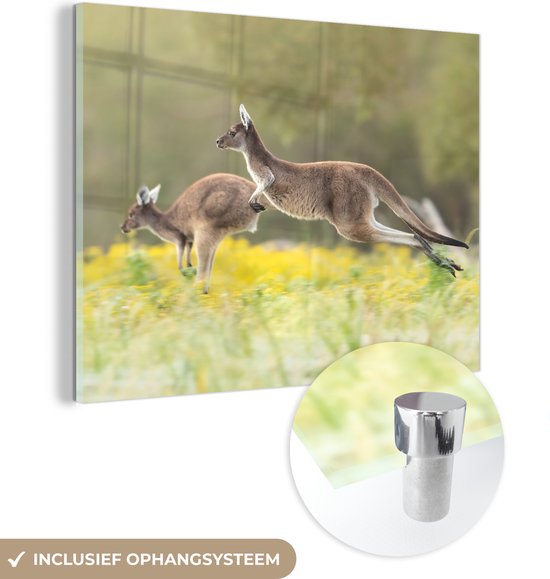 MuchoWow® Glasschilderij 40x30 cm - Schilderij acrylglas - Kangoeroes - Bloemen - Dieren - Foto op glas - Schilderijen