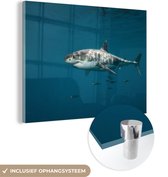 MuchoWow® Glasschilderij 120x90 cm - Schilderij acrylglas - Witte haai - Foto op glas - Schilderijen