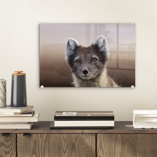 MuchoWow® Glasschilderij 30x20 cm - Schilderij acrylglas - Vos - Welp - Vacht - Foto op glas - Schilderijen
