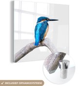 MuchoWow® Glasschilderij 90x90 cm - Schilderij acrylglas - IJsvogel - Tak - Snavel - Foto op glas - Schilderijen