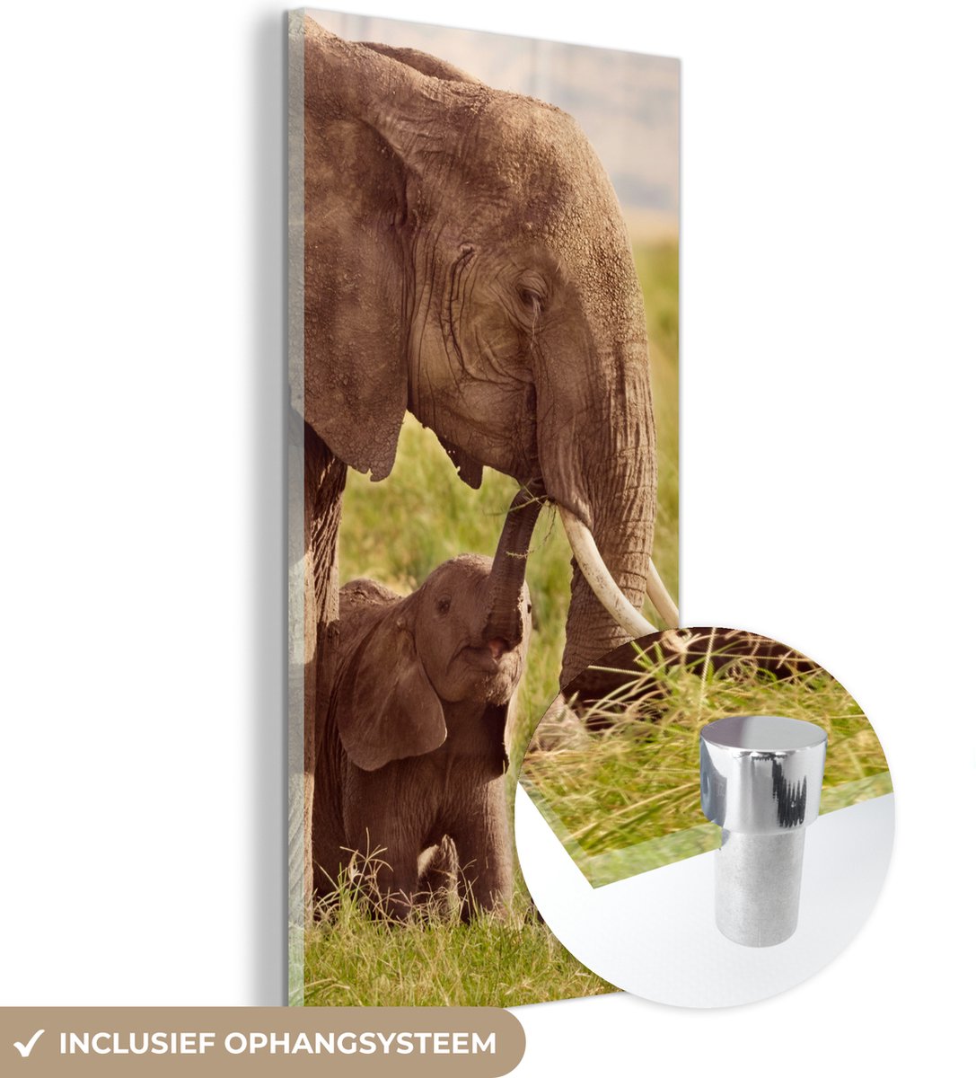 ® Glasschilderij 80x160 cm - Schilderij acrylglas - Baby olifant bij zijn moeder in Kenia - Foto op glas - Muurdecoratie woonkamer - Wanddecoratie slaapkamer - Schilderijen