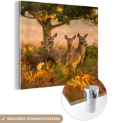 MuchoWow® Glasschilderij 90x90 cm - Schilderij acrylglas - Herfst - Zon - Herten - Foto op glas - Schilderijen