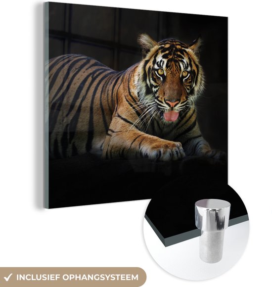 MuchoWow® Glasschilderij 20x20 cm - Schilderij acrylglas - Tijger - Zwart - Rust - Foto op glas - Schilderijen