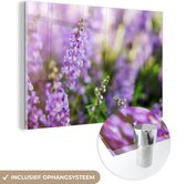 MuchoWow® Glasschilderij 90x60 cm - Schilderij acrylglas - Close up van hele lavendel in een veld - Foto op glas - Schilderijen