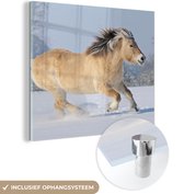 MuchoWow® Glasschilderij 90x90 cm - Schilderij glas - Fjord paard dat door de sneeuw rent - Foto op acrylglas - Schilderijen