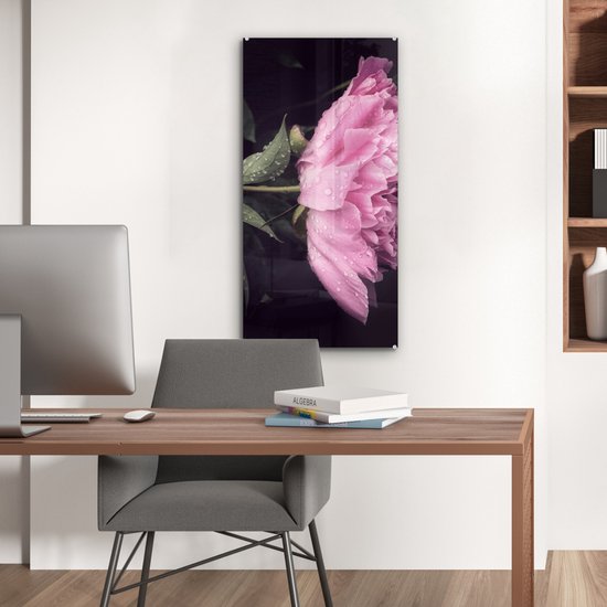 MuchoWow® Peinture sur verre 40x80 cm - Peinture sur verre acrylique - Pivoine avec gouttes de rosée - Photo sur verre - Peintures