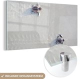 MuchoWow® Glasschilderij 120x60 cm - Schilderij acrylglas - Twee kleine schildpadden - Foto op glas - Schilderijen