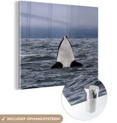 MuchoWow® Glasschilderij 90x90 cm - Schilderij acrylglas - Orka boven water - Foto op glas - Schilderijen