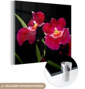 Peinture sur verre - Orchidées rouges fond noir - 50x50 cm - Peintures sur Verre Acrylique - Photo sur Glas