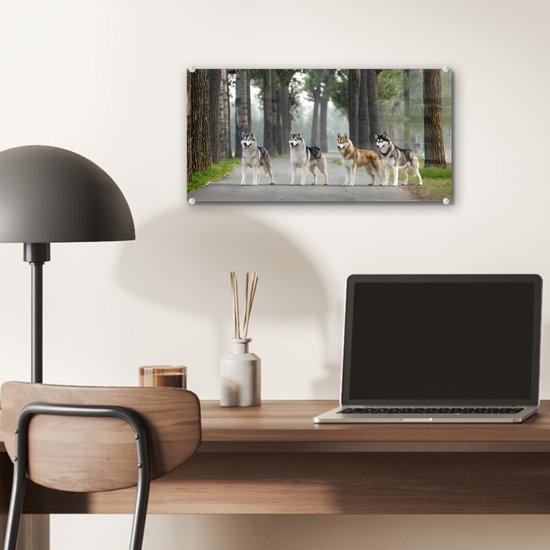 MuchoWow® Peinture sur verre 40x20 cm - Peinture sur verre acrylique - Quatre huskies parmi les arbres - Photo sur verre - Peintures