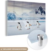 MuchoWow® Glasschilderij 60x40 cm - Schilderij acrylglas - Drie pinguïns - Foto op glas - Schilderijen